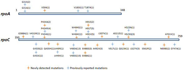 image001.jpg image001.jpg