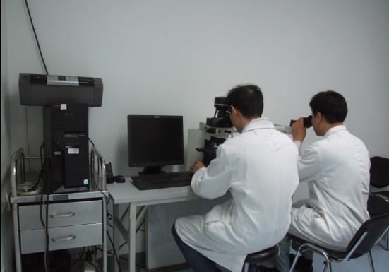 皮肤科病理读片室