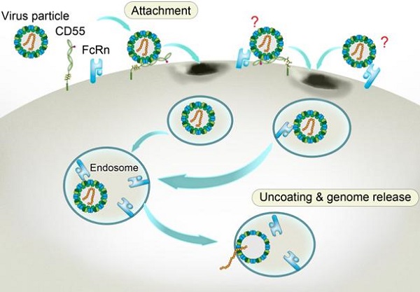 图片3.jpg 图片3.jpg
