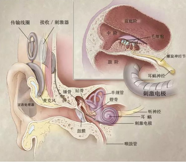 图片4.jpg 图片4.jpg