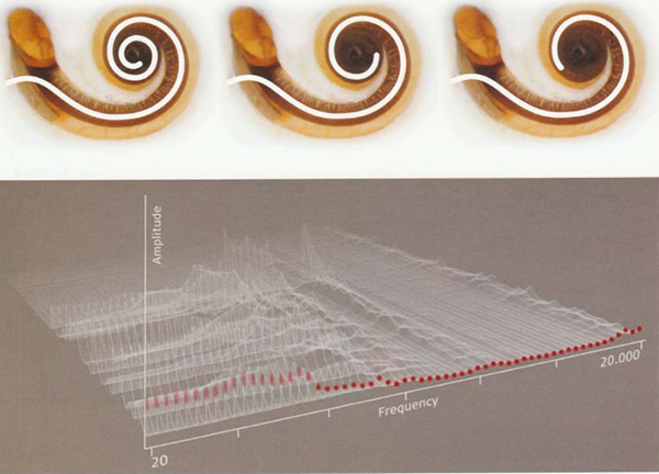 图片5.jpg 图片5.jpg