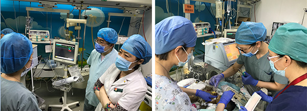 图片3.jpg 图片3.jpg