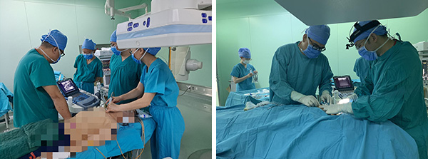 图片2.jpg 图片2.jpg