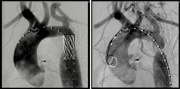 图片4.jpg 图片4.jpg
